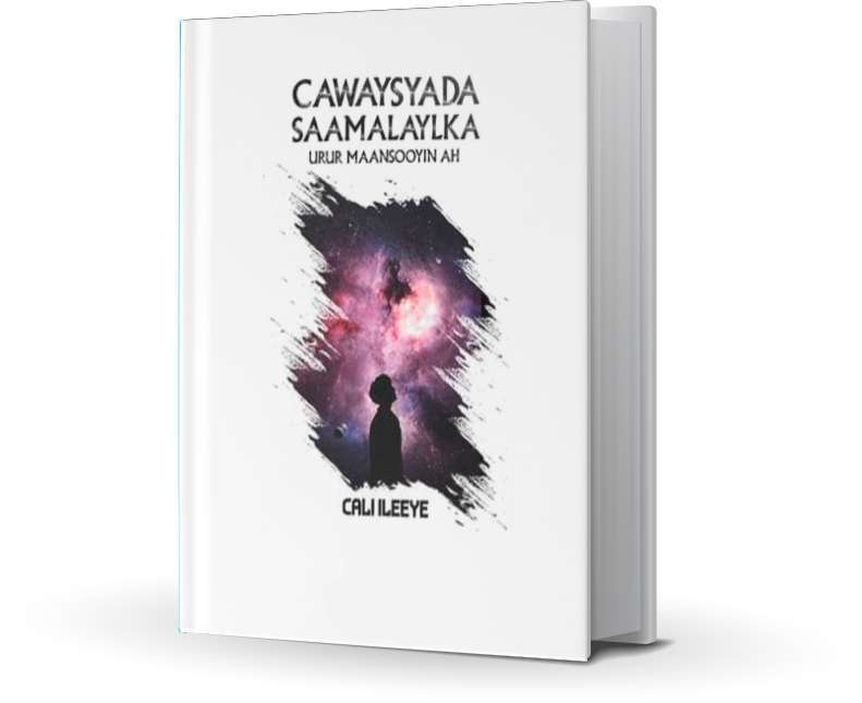 Cawaysyada Saamalaylka