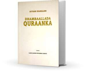 Dhambaaladda Quraanka